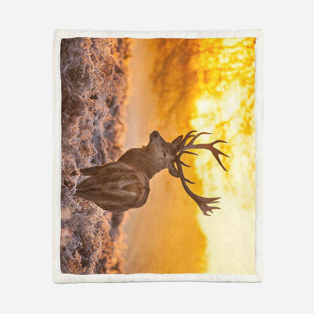 Elk in Forest Sherpa blanket Giftable